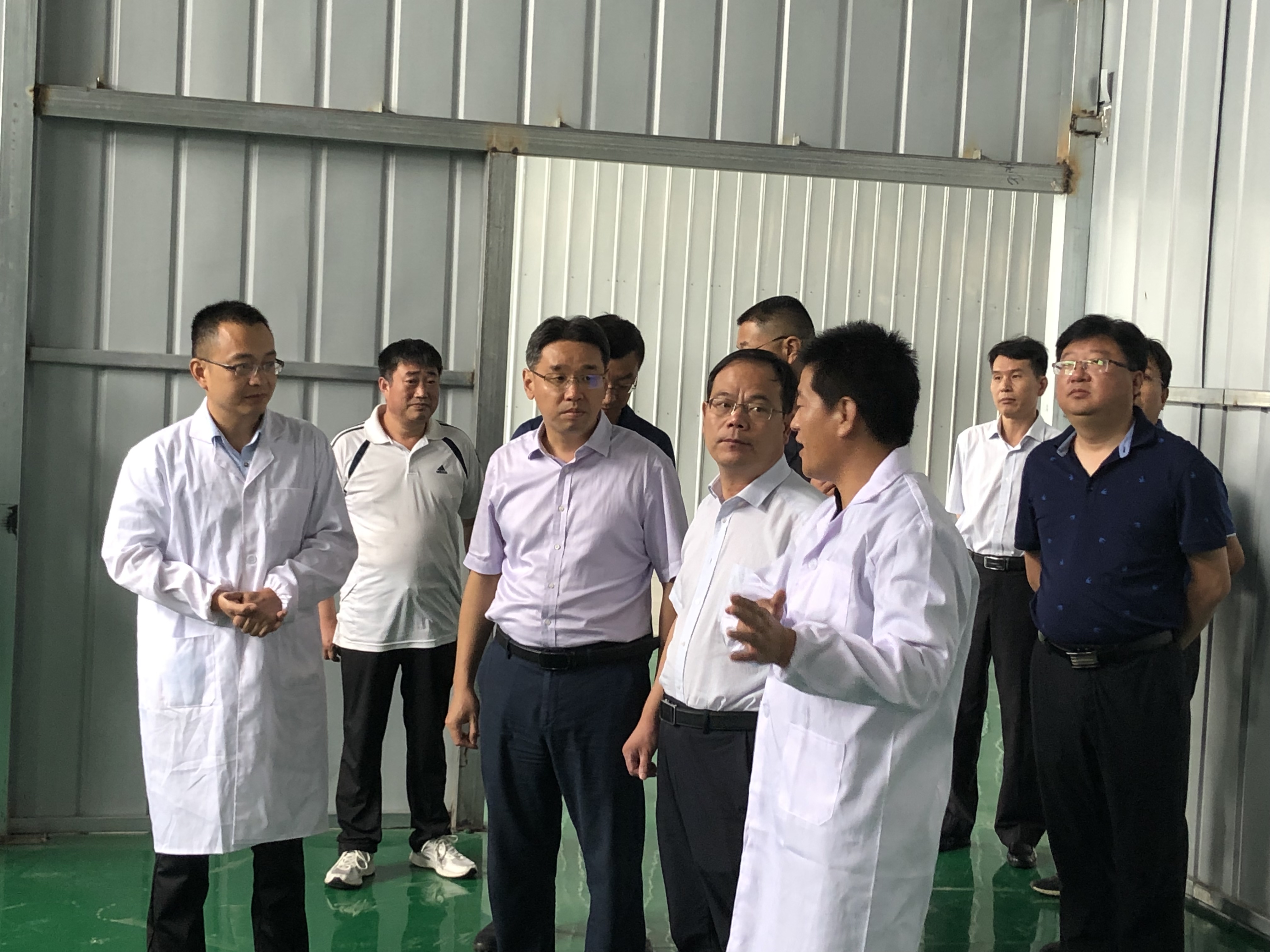 县人大代表团前往我厂对重点项目溶菌酶与蛋黄粉生产线​进行了视察指导